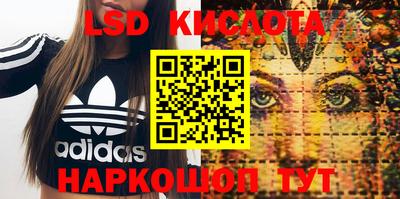 стафф Шахты