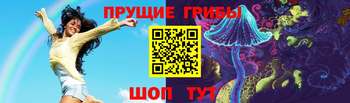 Верхняя Пышма  Галлюциногенные грибы GOLDEN TEACHER  Вход с VPN  Псилоцибиновые грибы Psilocybine cubensis 